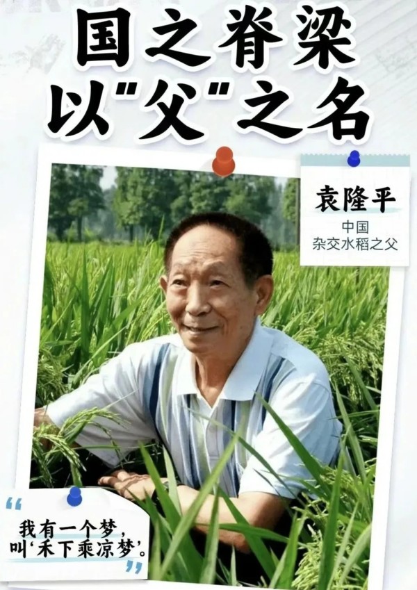 岳陽市江南通信職業(yè)技術(shù)學校有限公司,岳陽江南學校,岳陽江南通信學校,岳陽職業(yè)學校